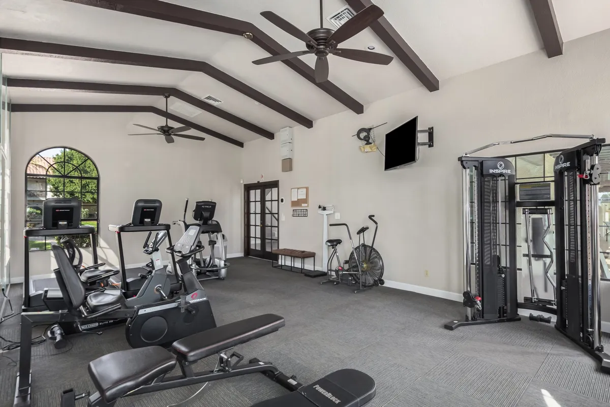 A vibrant fitness room with exercise equipment, large windows letting in abundant natural light, ceiling fans, and a television screen. The view through the windows suggests a connection to the outdoors and an active lifestyle.