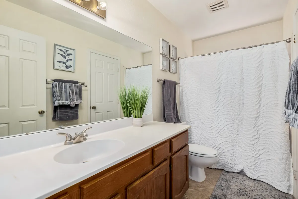 A bright, calming bathroom with a vanity sink, mirror, shower curtain, decorative plant, and wall art. Sunlight streams in, and the space feels clean and serene, perfect for self-care routines.